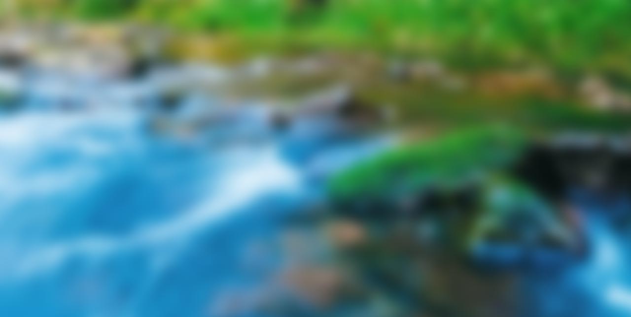 Responsive Website & Features